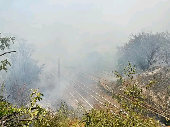 Immagine per Ferrovia bloccata, A4 resta chiusa al traffico per l'incendio sul Carso